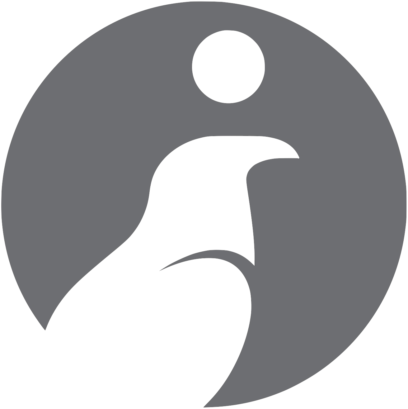 Cairo Coder logo