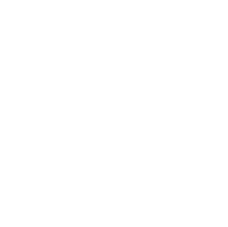 Velt Docs logo