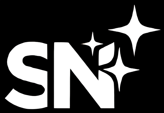 Snak logo