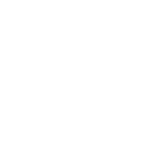 Webvizio logo